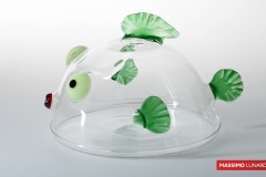 IT-484-PLATEDOME-PESCE-MOLLY