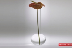 IT-042-VASO-ANTHURIUM