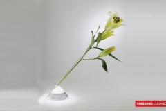 IT-043-VASO-LILIUM