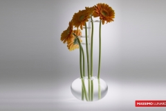 IT-046-VASO-GERBERA