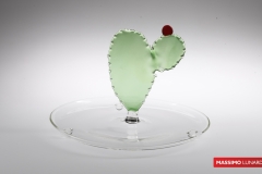 IT-347-PLATEAU-CACTUS