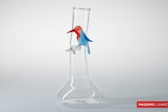 IT-490-VASO-COLIBRI