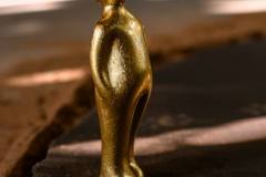 Visitor-Mini-gold-a-e1559657758132